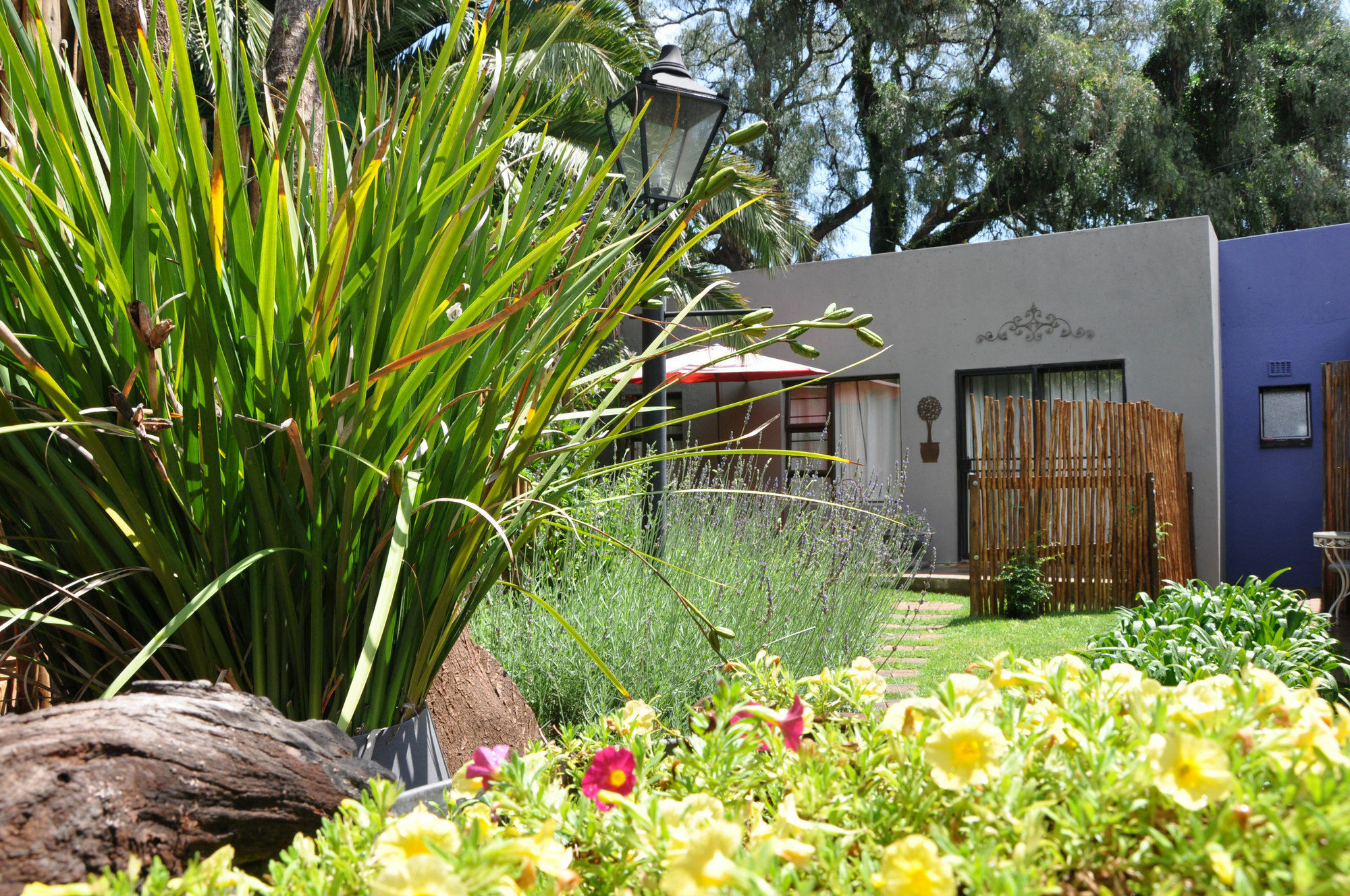 Ginnegaap Guesthouse Johannesburg Exterior photo